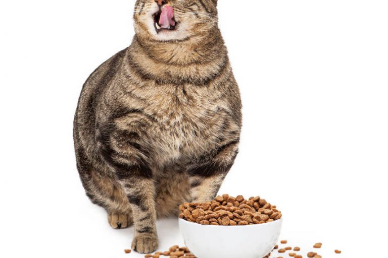 Evolve and Grow Coaching - Kent