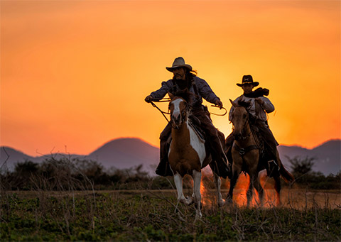 Trades-and-Builders-still-haunted-by-20th-Century-Stereotypes